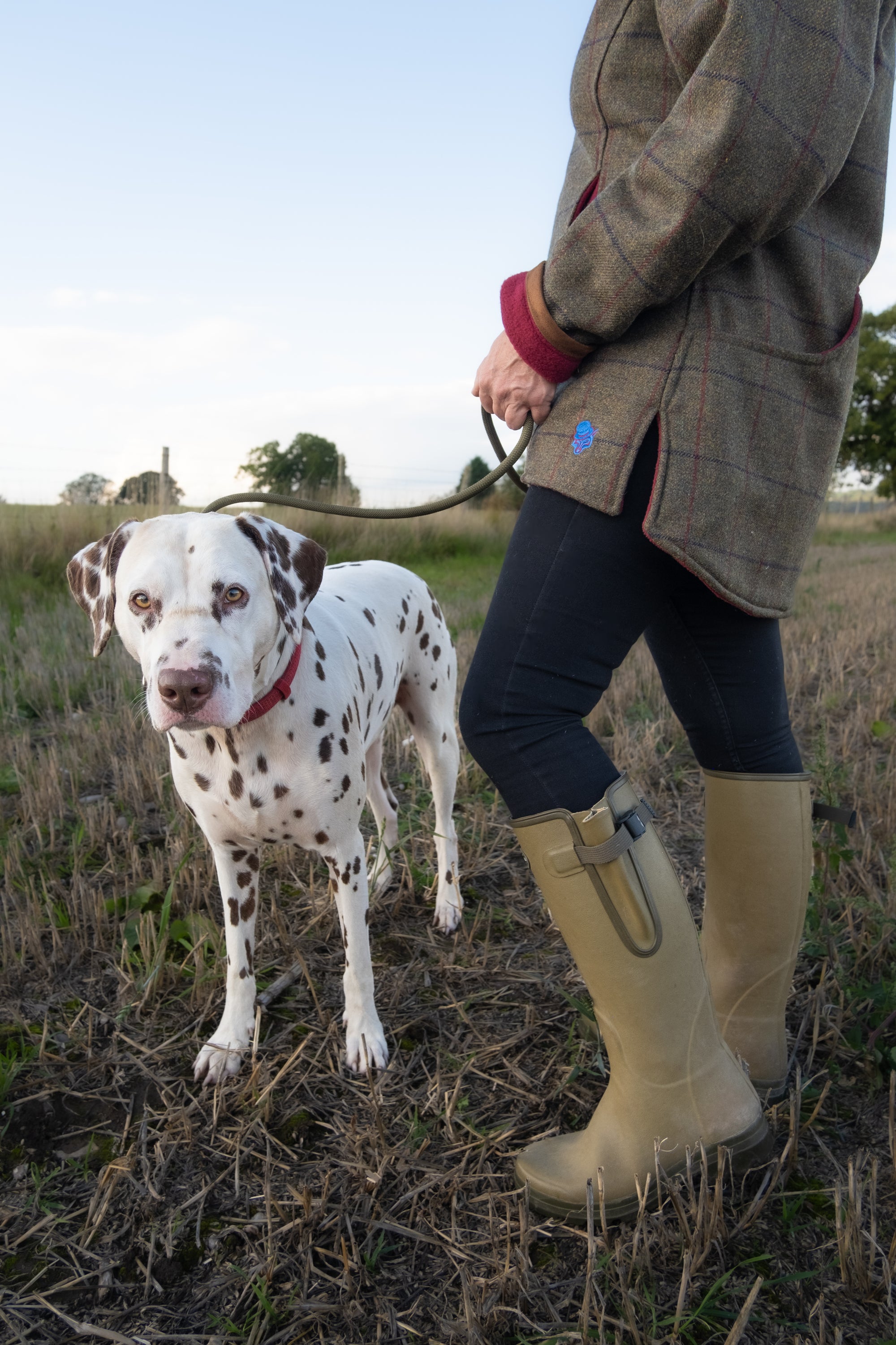 Dog Walking Tweed Hoodie